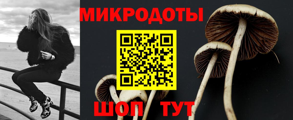 Псилоцибиновые грибы Psilocybe Бугуруслан