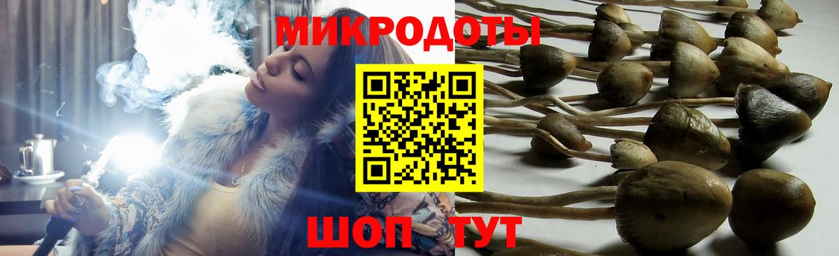 Псилоцибиновые грибы Psilocybe  Вход с VPN  продажа наркотиков  Псилоцибиновые грибы мухоморы  Бугуруслан 